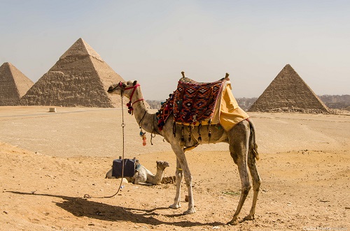 10 Day Cairo, Nile Cruise and Sharm El Sheikh