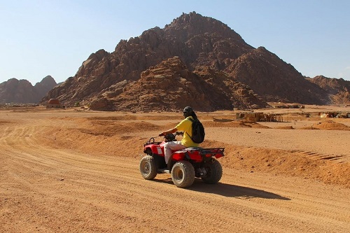 Quad biking with Camel ride and Bedouin dinner